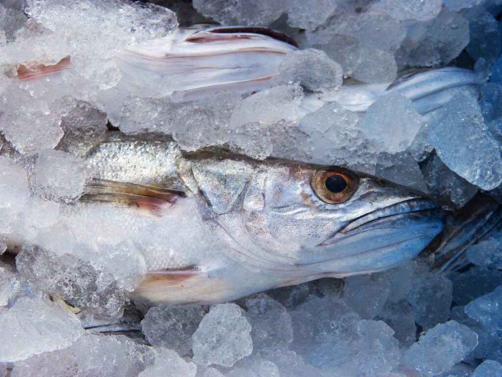 Poissonnerie de la réunion